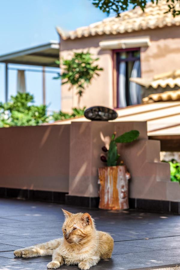 Malsova-Home Kotronion  エクステリア 写真